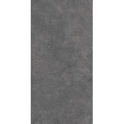 INTEGRA GRAFIT MAT RECT. 60*120
