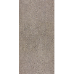 OCTAVIA GREY MAT 60*120