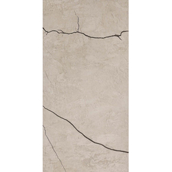 Harley Bone MAT 60*120