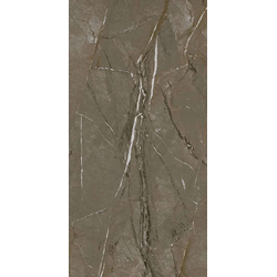 Sierra Vizon Matt 60*120