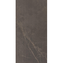 Adria Mocha 60*120