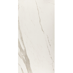 ALBATROS RETT POL 60*120