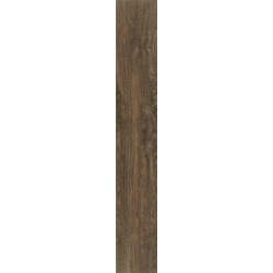 DENDRO CEVIZ(NOCE) 18*118