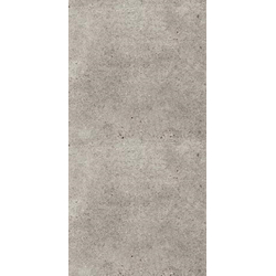 SILVER STONE DF RECTIFIED 60*120