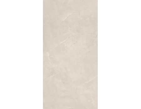 Pulpis Prime Light Grey RNP 60*120