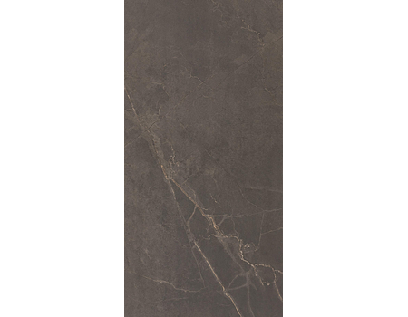 Adria Mocha 60*120
