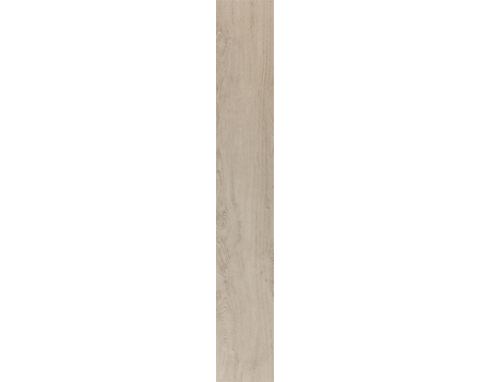 DENDRO MAPLE(Akcaagac) 18*118