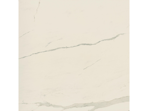 ALBATROS RETT POL 120*120