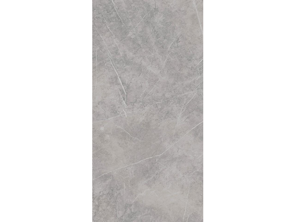 Alesta Silver MAT 60*120